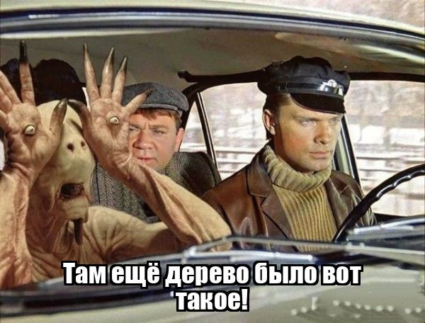 Там еще дерево было вот 'такое!