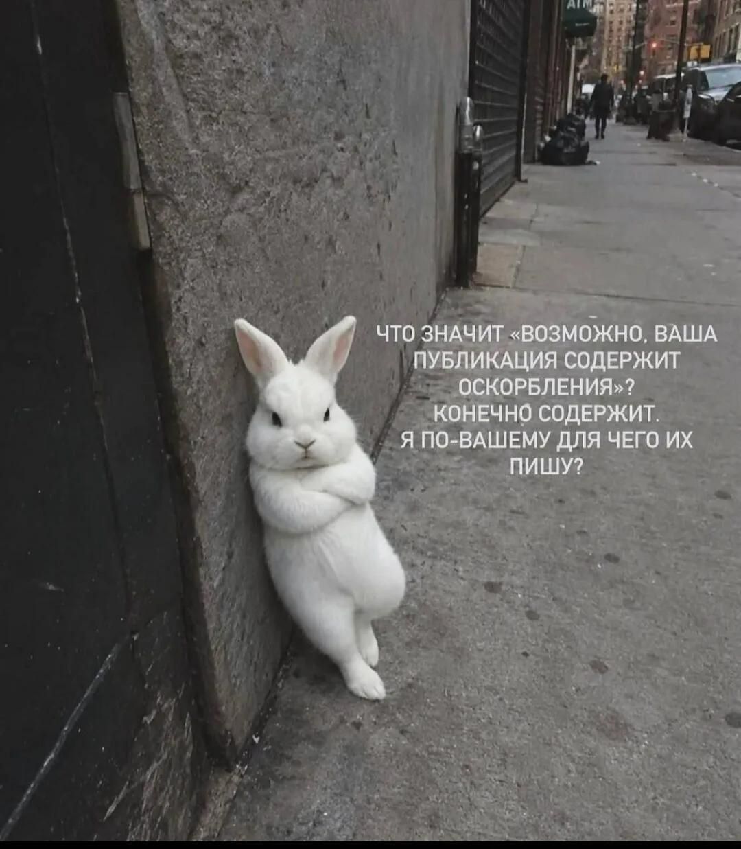 ЧТО ЗНАЧИТ «ВОЗМОЖНО, ВАША ПУБЛИКАЦИЯ СОДЕРЖИТ ОСКОРБЛЕНИЯ»? КОНЕЧНО СОДЕРЖИТ. Я ПО-ВАШЕМУ ДЛЯ ЧЕГО ИХ ПИШУ?