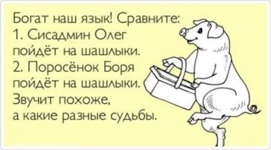 Богат наш язык! Сравните: 1. Сисадмин Олег пойдет на шашлыки. 2. Поросёнок Боря пойдёт на шашлыки. Звучит похоже, а какие разные судьбы.