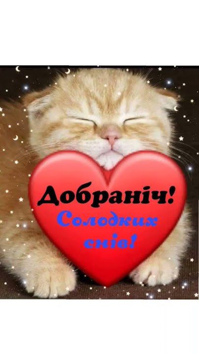 Добраніч! Солодких снів!