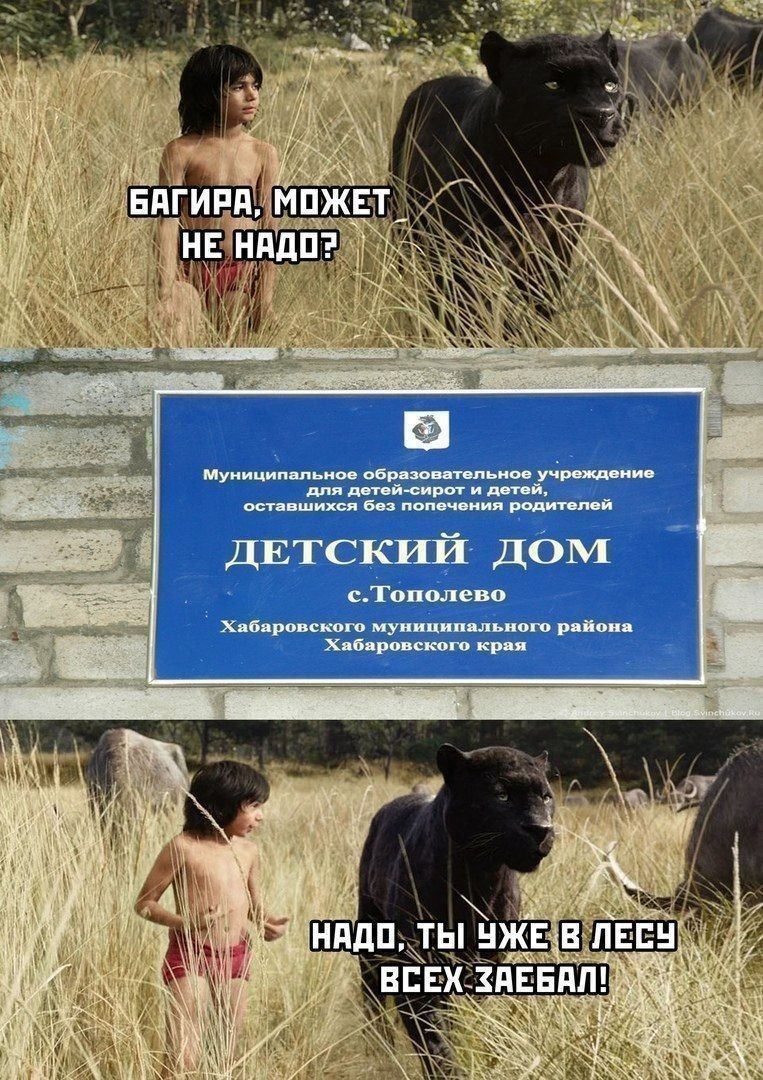 БАГИРА, МОЖЕТ НЕ НАДО? Муниципальное образовательное учреждение для детей-сирот и детей, оставшихся без попечения родителей ДЕТСКИЙ ДОМ с. Тополево Хабаровского муниципального района Хабаровского края НАДО, ТЫ УЖЕ В ЛЕСУ ВСЕХ ЗАЕБАЛ!