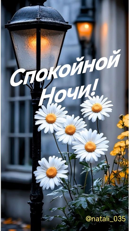 Спокойной Ночи! @natali_035