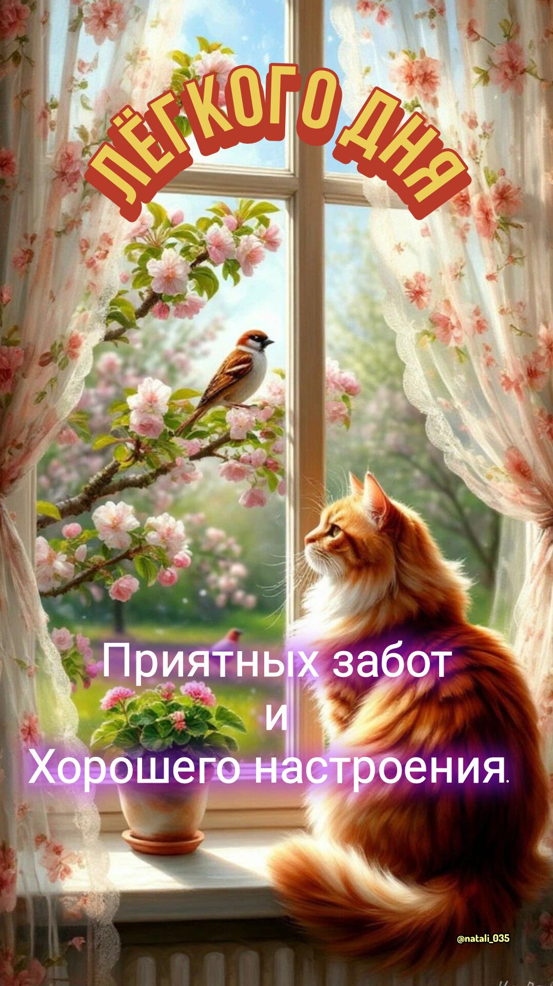 ЛЁГКОГО ДНЯ Приятных забот и Хорошего настроения. @natali_035