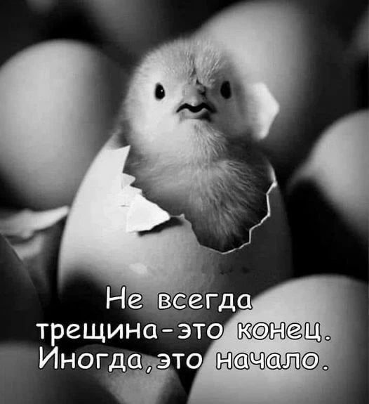 Не всегда трещина-это конец. Иногда, это начало.