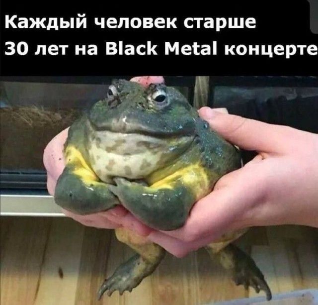 Каждый человек старше 30 лет на Black Metal концерте