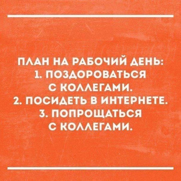 ПЛАН НА РАБОЧИЙ ДЕНЬ: 1. ПОЗДОРОВАТЬСЯ С КОЛЛЕГАМИ. 2. ПОСИДЕТЬ В ИНТЕРНЕТЕ. 3. ПОПРОЩАТЬСЯ С КОЛЛЕГАМИ.
