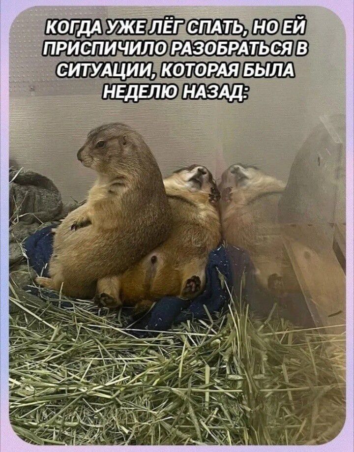 КОГДА УЖЕ ЛЁГ СПАТЬ, НО ЕЙ ПРИСПИЧИЛО РАЗОБРАТЬСЯ В СИТУАЦИИ, КОТОРАЯ БЫЛА НЕДЕЛЮ НАЗАД: