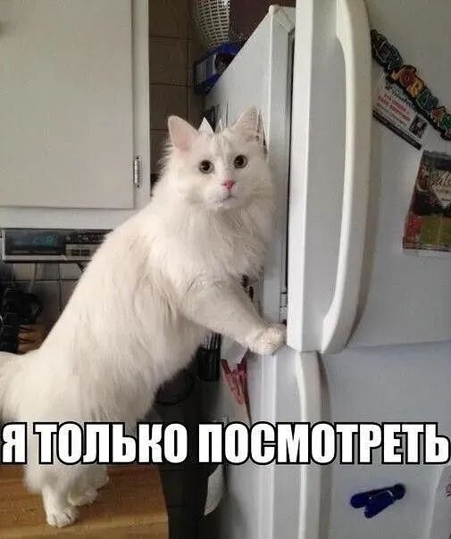 Я только посмотреть