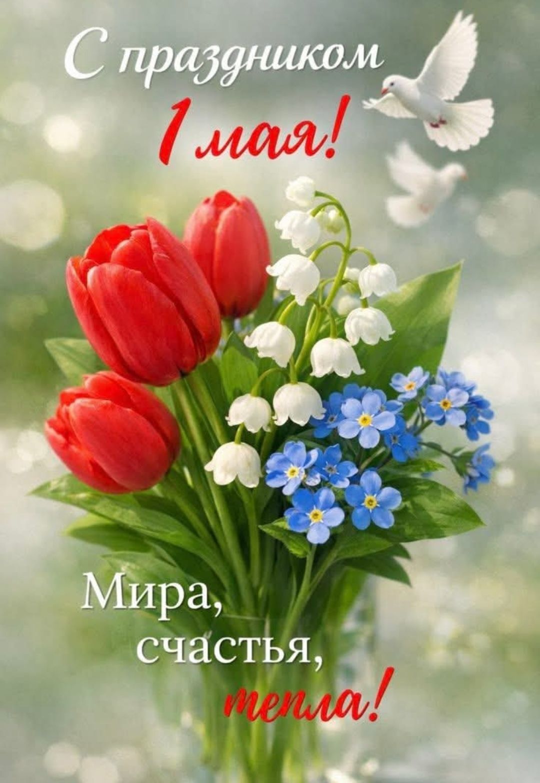 С праздником 1 мая! Мира, счастья, тепла!