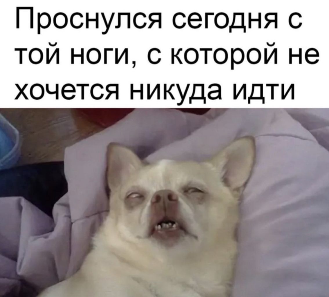 Проснулся сегодня с той ноги, с которой не хочется никуда идти