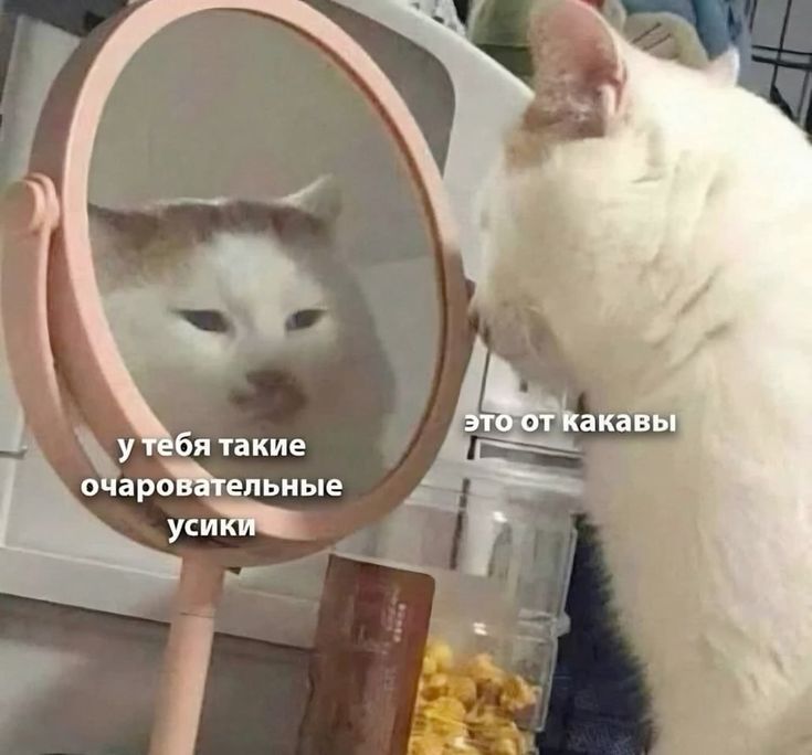 у тебя такие очаровательные усики это от какавы