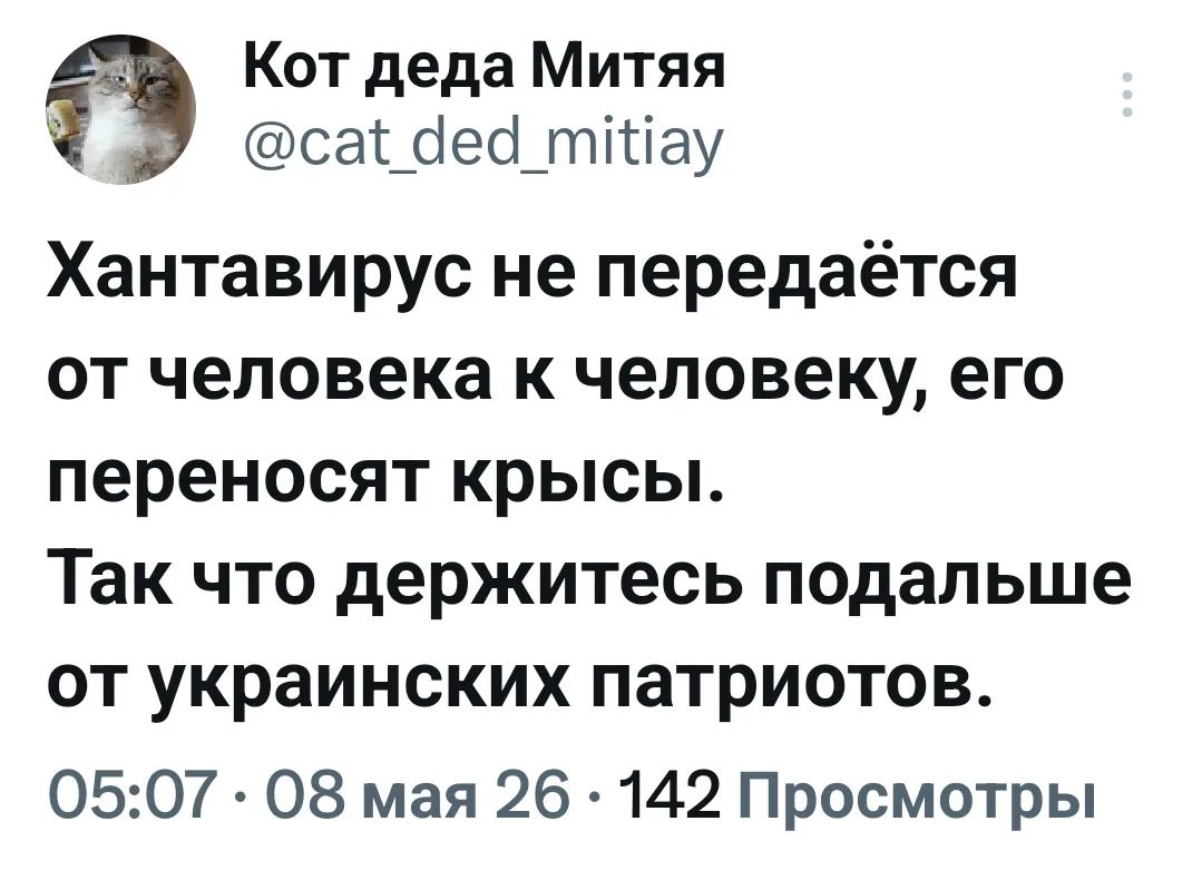 Кот деда Митяя @cat_ded_mitiay Хантавирус не передаётся от человека к человеку, его переносят крысы. Так что держитесь подальше от украинских патриотов. 05:07 · 08 мая 26 · 142 Просмотры