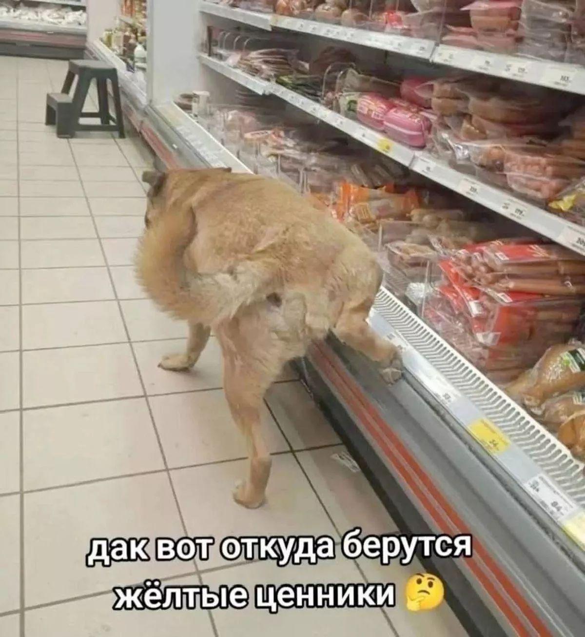 дак вот откуда берутся жёлтые ценники 🤔