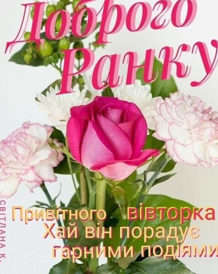 Доброго ранку Привітного вівторка Хай він порадує гарними подіями СВІТЛАНА К.