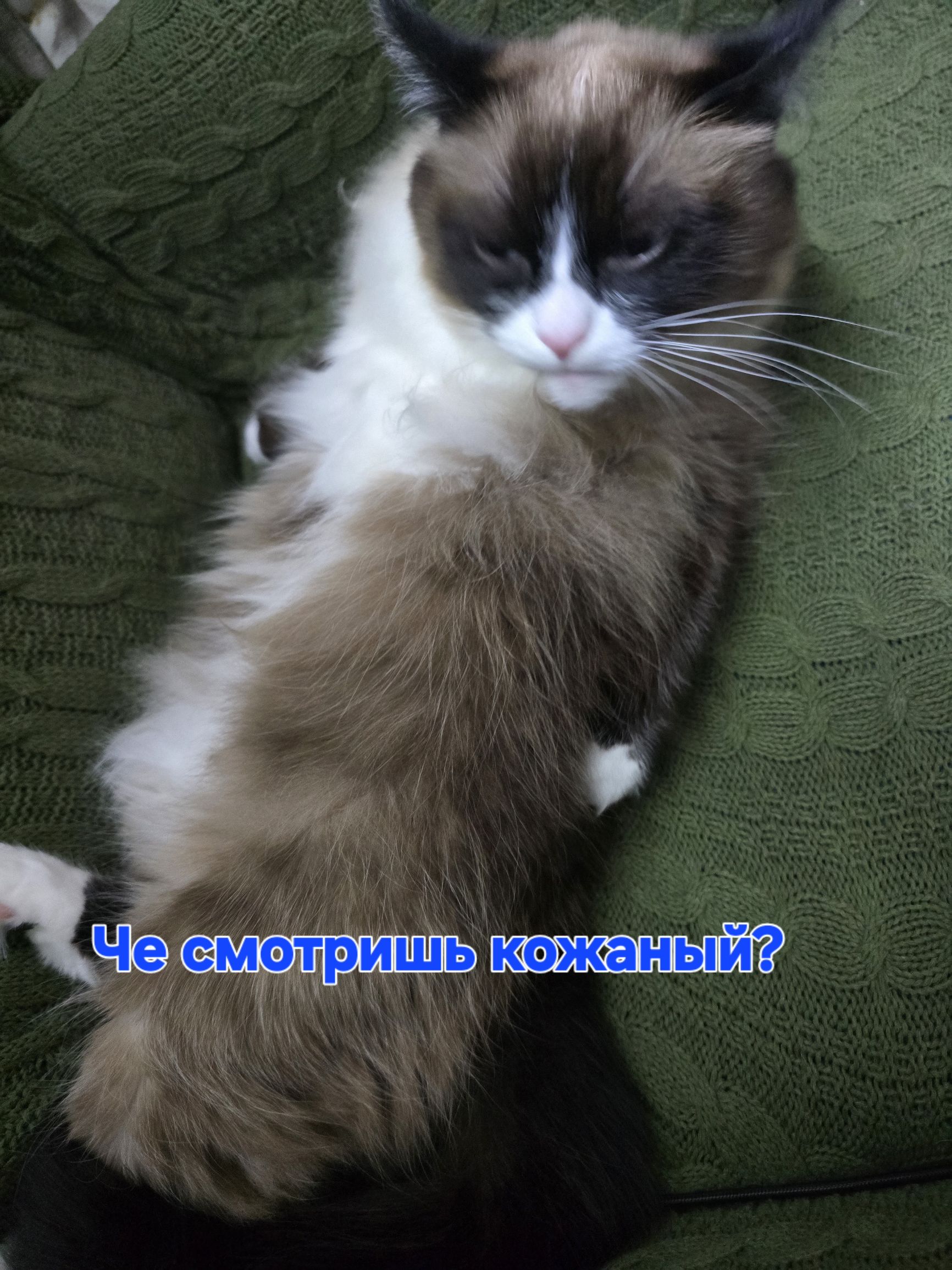 Че смотришь кожаный?