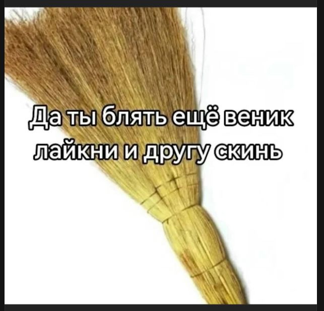 Да ты блять ещё веник лайкни и другу скинь
