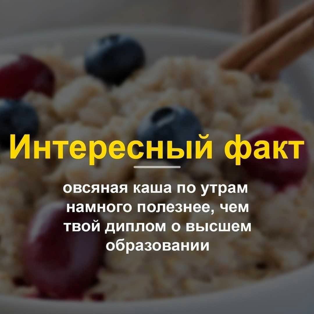 Интересный факт овсяная каша по утрам намного полезнее, чем твой диплом о высшем образовании