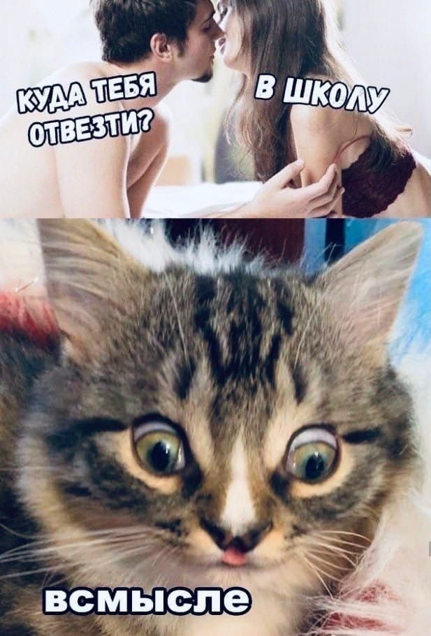 КУДА ТЕБЯ ОТВЕЗТИ? В ШКОЛУ ВСМЫСЛЕ