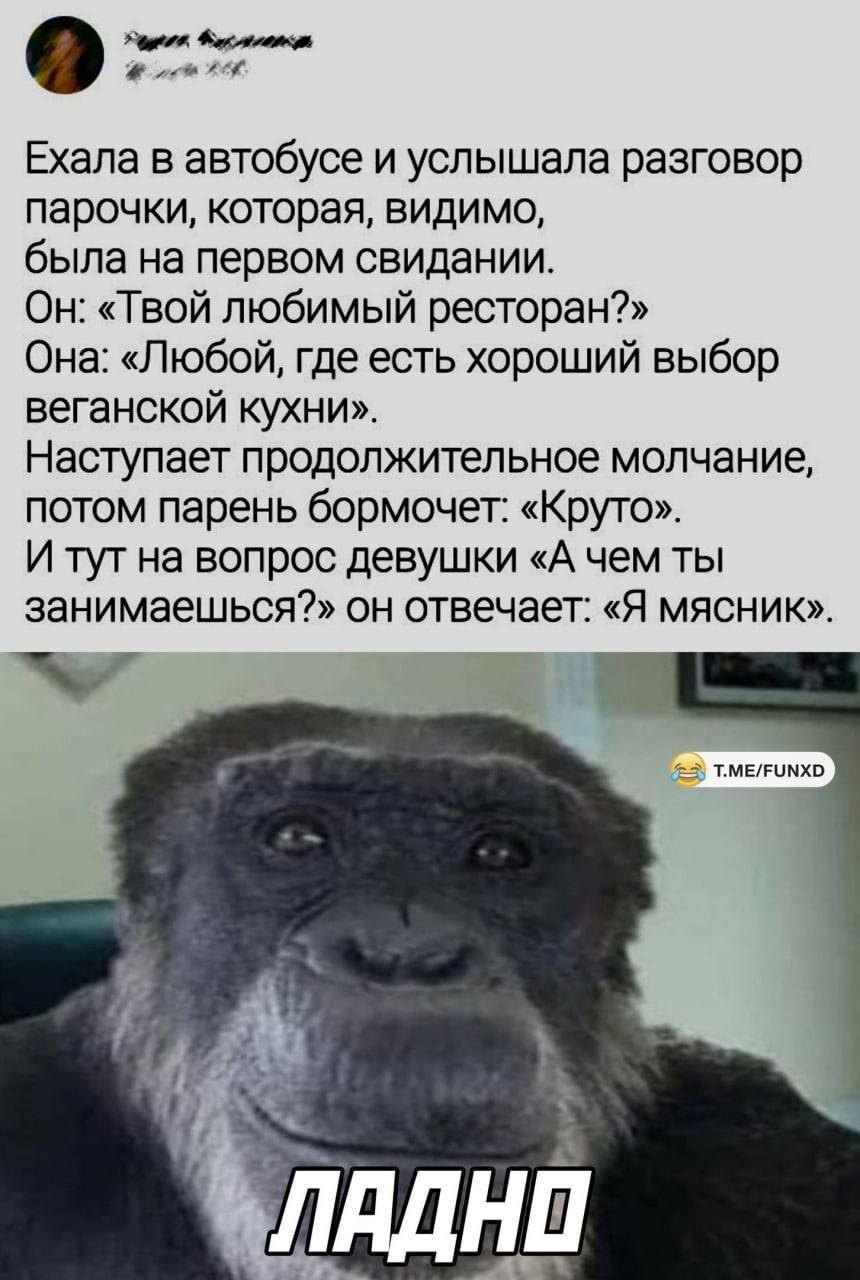 Ехала в автобусе и услышала разговор парочки, которая, видимо, была на первом свидании. Он: «Твой любимый ресторан?» Она: «Любой, где есть хороший выбор веганской кухни». Наступает продолжительное молчание, потом парень бормочет: «Круто». И тут на вопрос девушки «А чем ты занимаешься?» он отвечает: «Я мясник». ЛАДНО