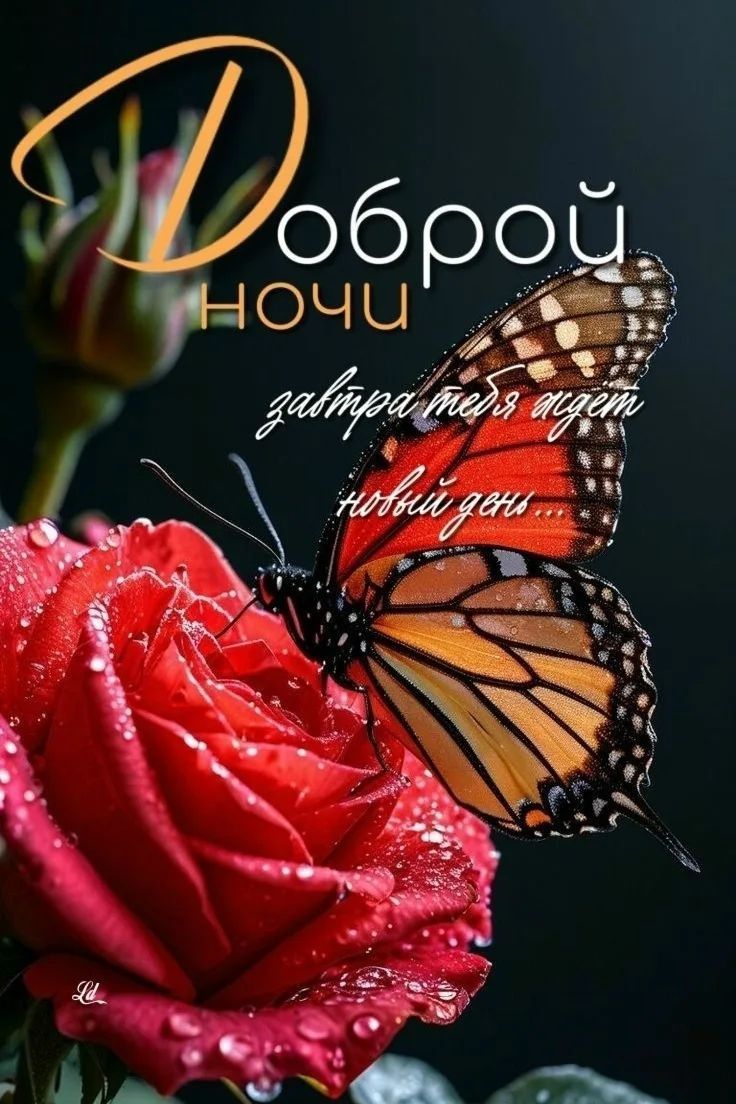 Доброй ночи завтра тебя ждет новый день...