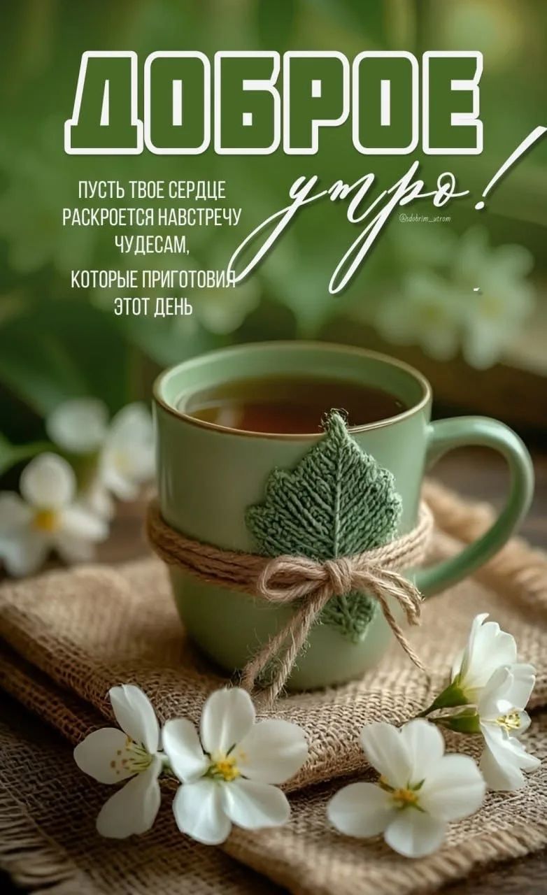 ДОБРОЕ утро! ПУСТЬ ТВОЕ СЕРДЦЕ РАСКРОЕТСЯ НАВСТРЕЧУ ЧУДЕСАМ, КОТОРЫЕ ПРИГОТОВИЛ ЭТОТ ДЕНЬ @dobrim_utrom