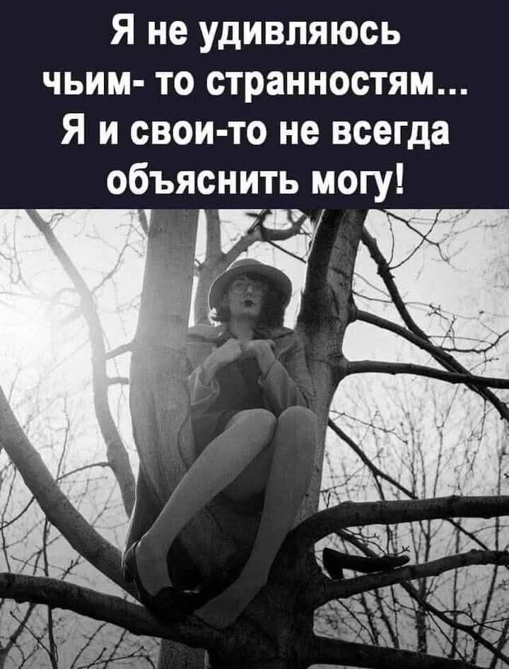 Я не удивляюсь чьим-то странностям... Я и свои-то не всегда объяснить могу!