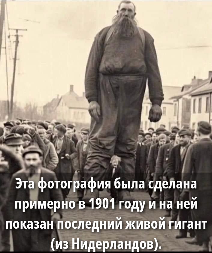Эта фотография была сделана примерно в 1901 году и на ней показан последний живой гигант (из Нидерландов).