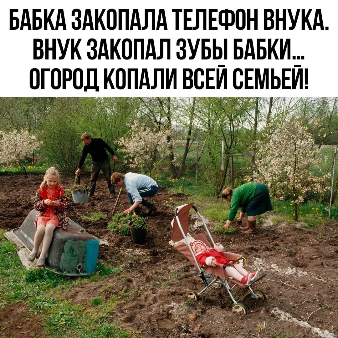 БАБКА ЗАКОПАЛА ТЕЛЕФОН ВНУКА. ВНУК ЗАКОПАЛ ЗУБЫ БАБКИ... ОГОРОД КОПАЛИ ВСЕЙ СЕМЬЕЙ!