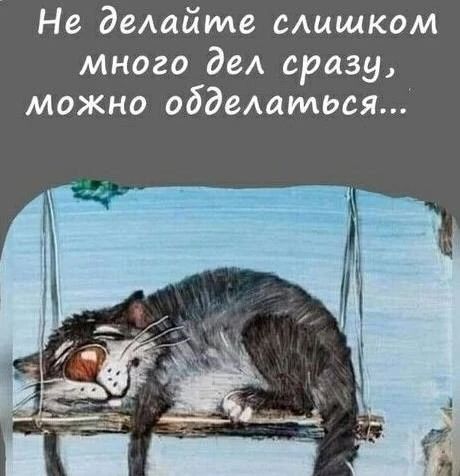 Не делайте слишком много дел сразу, можно обделаться...