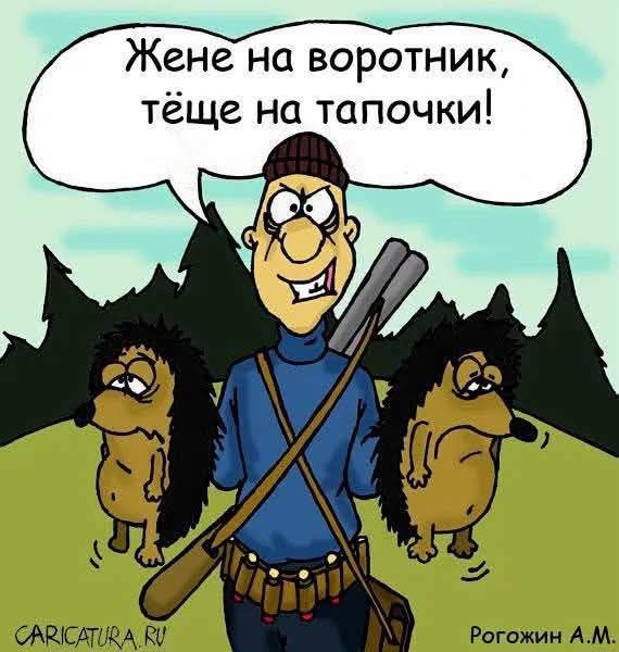 Жене на воротник, тёще на тапочки!