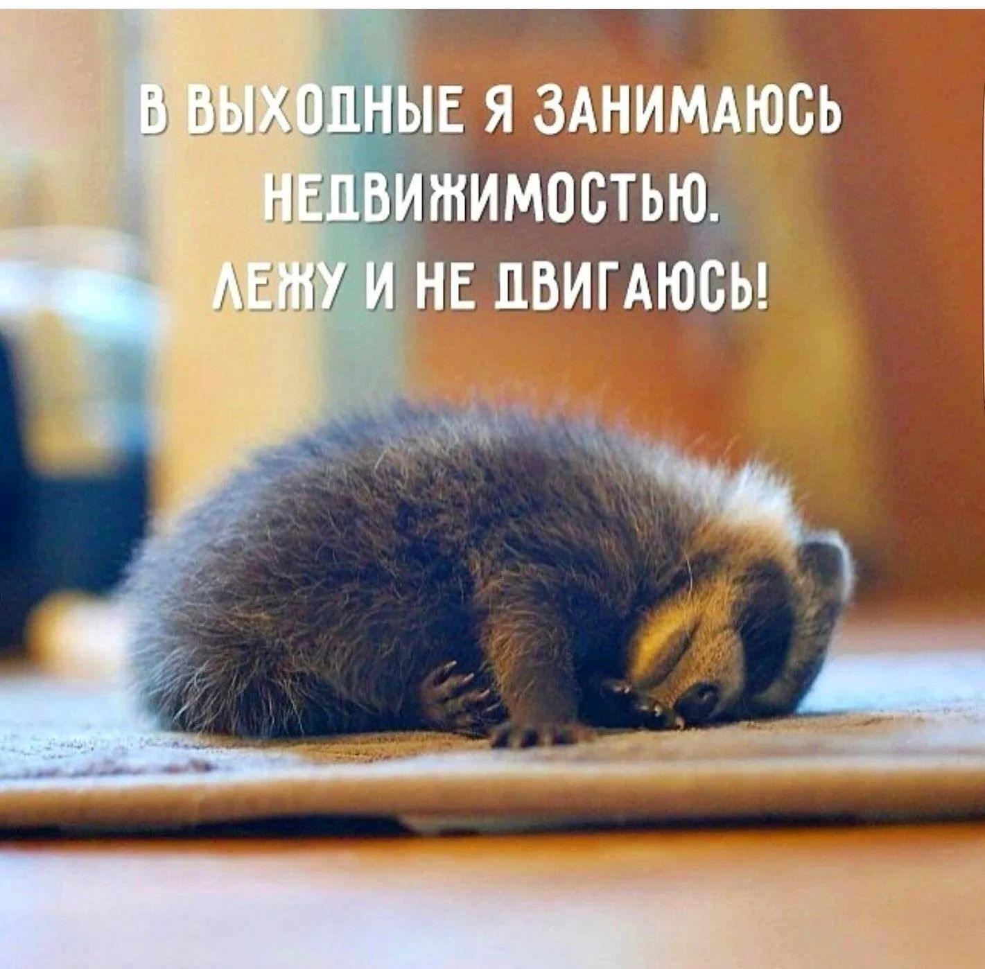 В ВЫХОДНЫЕ Я ЗАНИМАЮСЬ НЕДВИЖИМОСТЬЮ. ЛЕЖУ И НЕ ДВИГАЮСЬ!