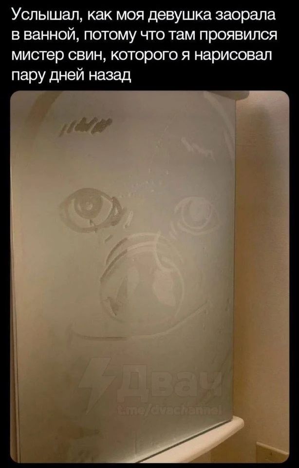 Услышал, как моя девушка заорала в ванной, потому что там проявился мистер свин, которого я нарисовал пару дней назад