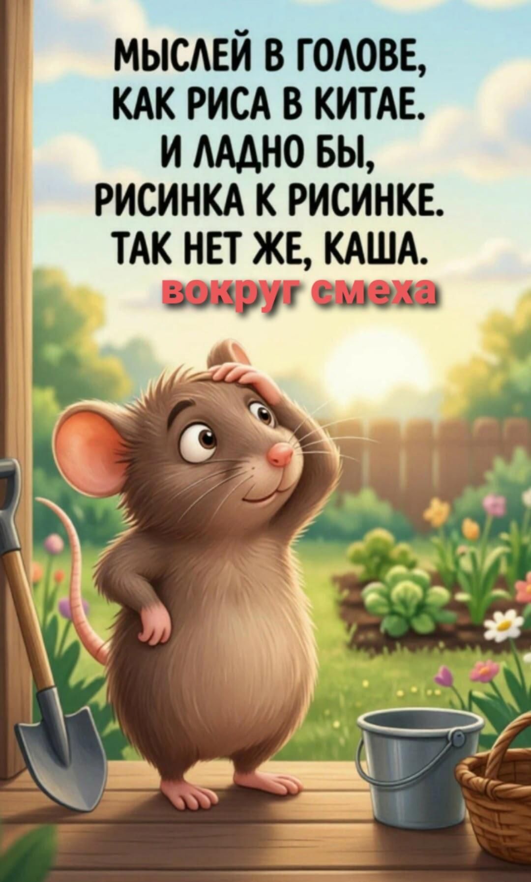 Мыслей в голове, как риса в Китае. И ладно бы, рисинка к рисинке. Так нет же, каша. вокруг смеха