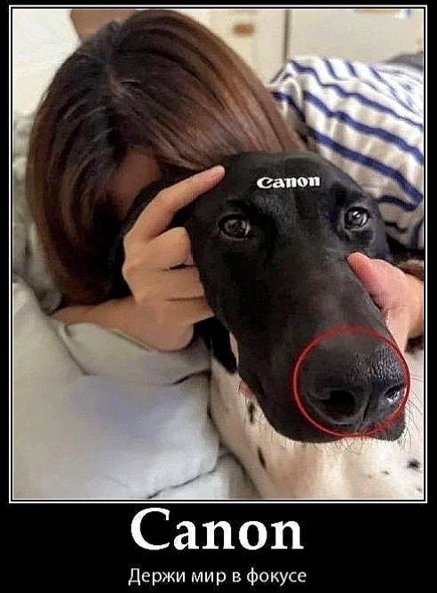 Canon Canon Держи мир в фокусе