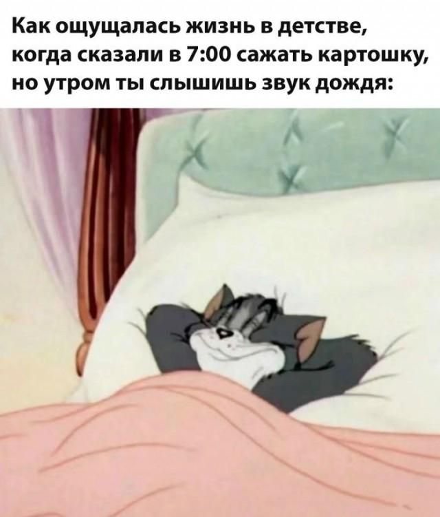 Как ощущалась жизнь в детстве, когда сказали в 7:00 сажать картошку, но утром ты слышишь звук дождя: