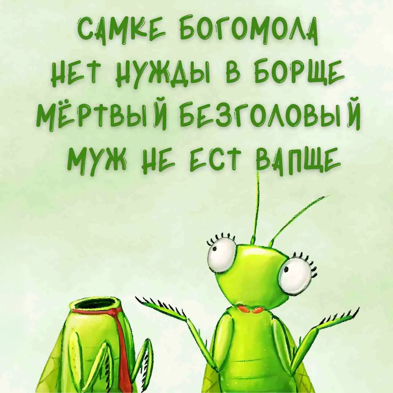 САМКЕ БОГОМОЛА НЕТ НУЖДЫ В БОРЩЕ МЁРТВЫЙ БЕЗГОЛОВЫЙ МУЖ НЕ ЕСТ ВАПЩЕ