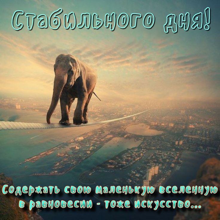 Стабильного дня! Содержать свою маленькую вселенную в равновесии - тоже искусство...