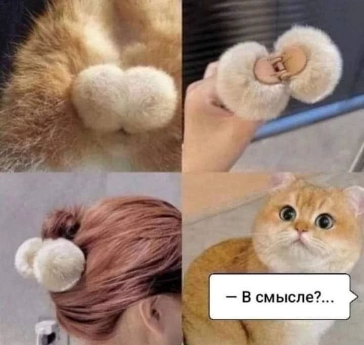 В смысле?...