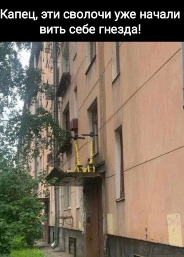 Капец, эти сволочи уже начали вить себе гнезда!
