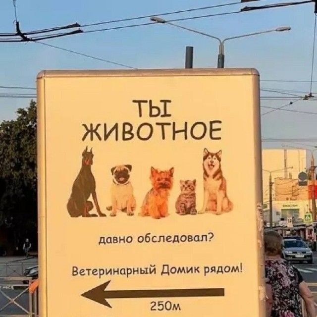 ТЫ ЖИВОТНОЕ давно обследовал? Ветеринарный Домик рядом! 250м