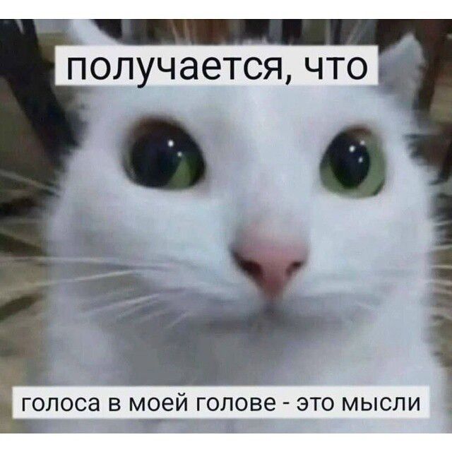получается, что голоса в моей голове - это мысли
