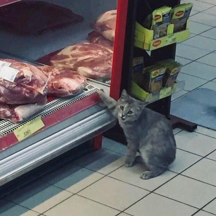 2369