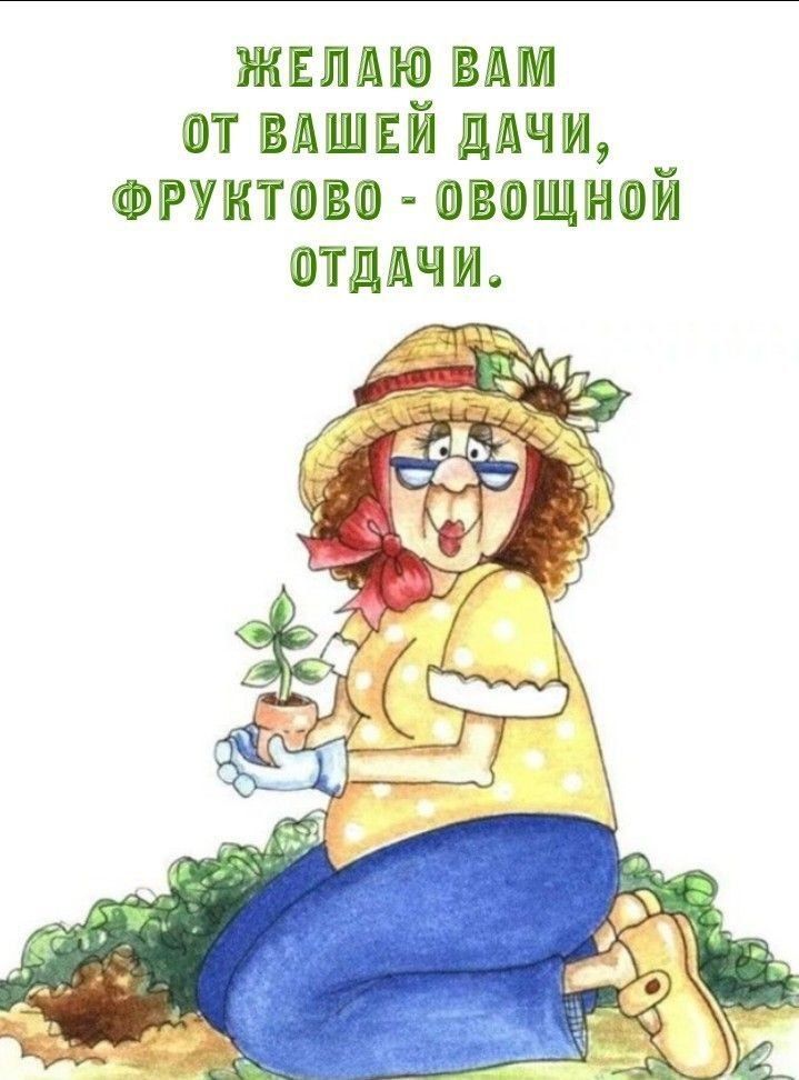 ЖЕЛАЮ ВАМ ОТ ВАШЕЙ ДАЧИ, ФРУКТОВО - ОВОЩНОЙ ОТДАЧИ.