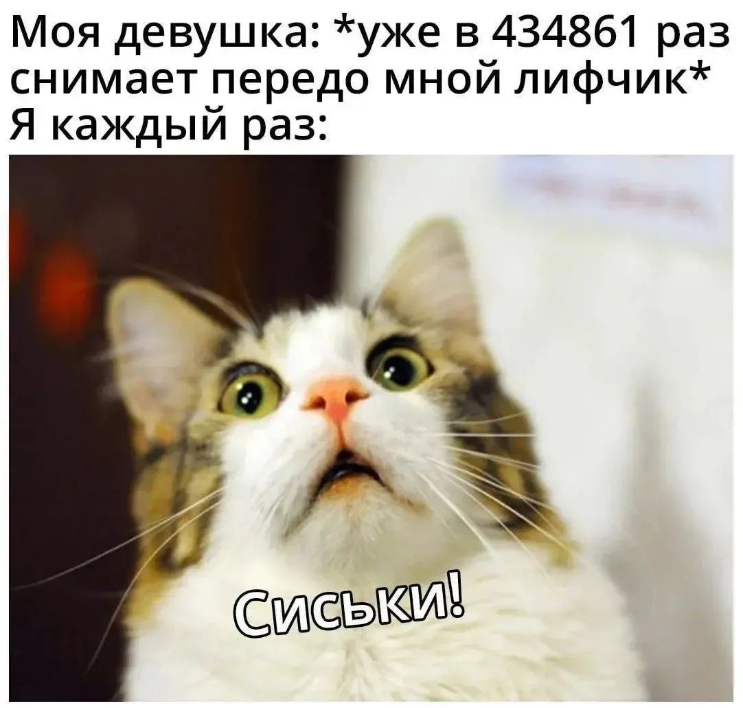 Моя девушка: *уже в 434861 раз снимает передо мной лифчик* Я каждый раз: Сиськи!
