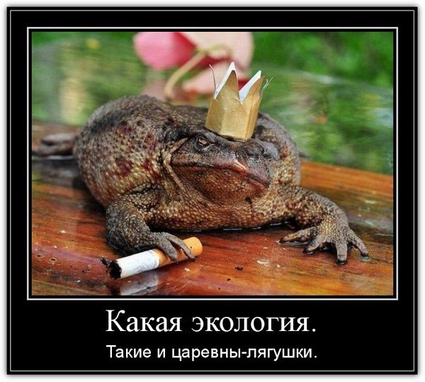 Какая экология. Такие и царевны-лягушки.
