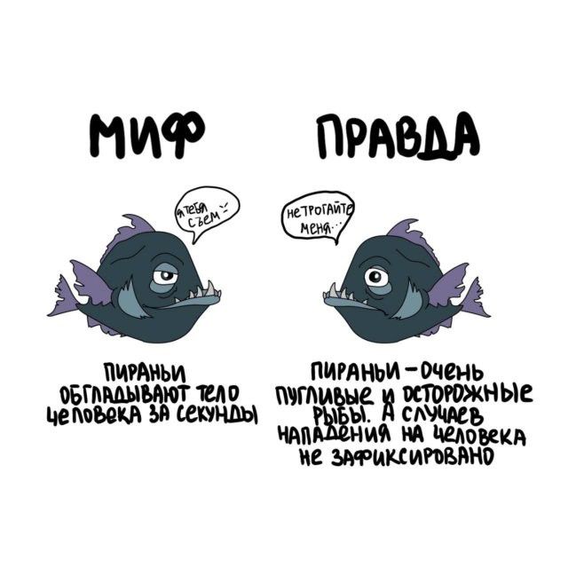 Миф: Пираньи обгладывают тело человека за секунды. Я тебя съем. Правда: Пираньи — очень пугливые и осторожные рыбы. А случаев нападения на человека не зафиксировано. Не трогайте меня...