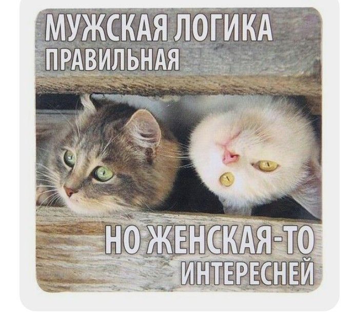 МУЖСКАЯ ЛОГИКА ПРАВИЛЬНАЯ НО ЖЕНСКАЯ-ТО ИНТЕРЕСНЕЙ