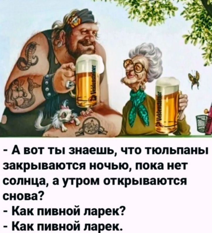 - А вот ты знаешь, что тюльпаны закрываются ночью, пока нет солнца, а утром открываются снова?
- Как пивной ларек?
- Как пивной ларек.