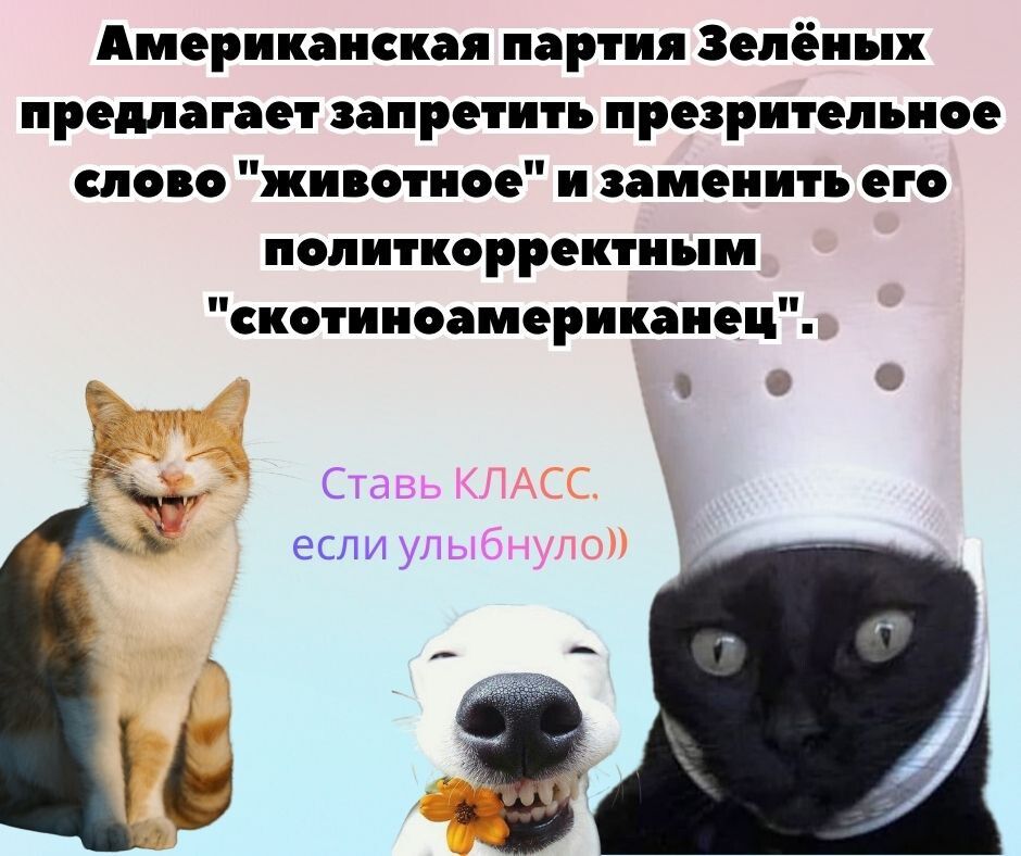 Американская партия Зелёных предлагает запретить презрительное слово 