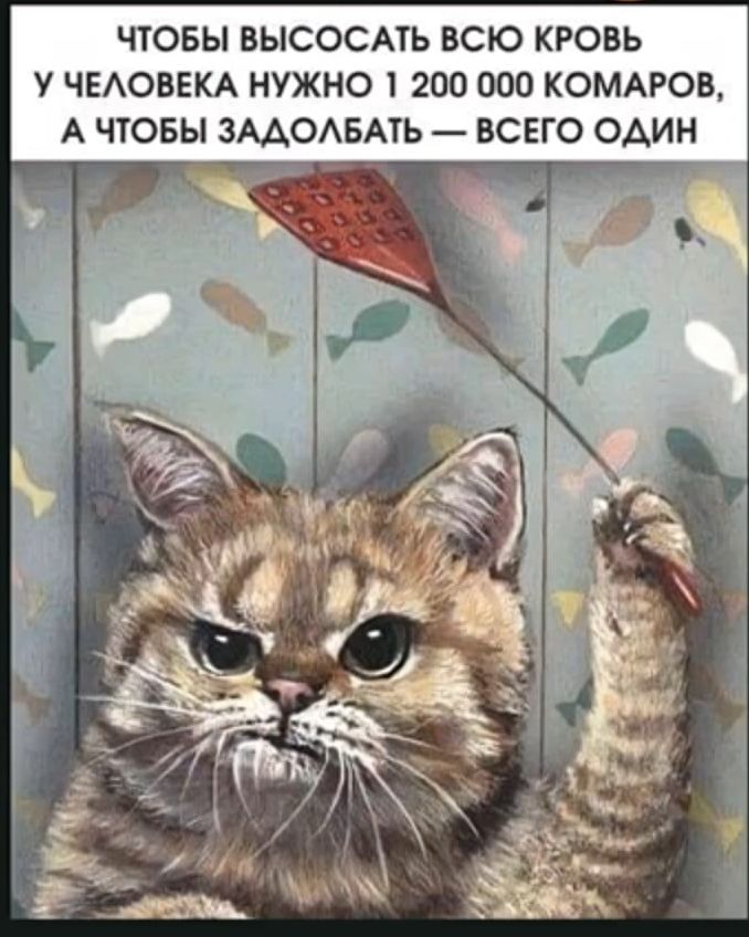 ЧТОБЫ ВЫСОСАТЬ ВСЮ КРОВЬ У ЧЕЛОВЕКА НУЖНО 1 200 000 КОМАРОВ, А ЧТОБЫ ЗАДОЛБАТЬ — ВСЕГО ОДИН